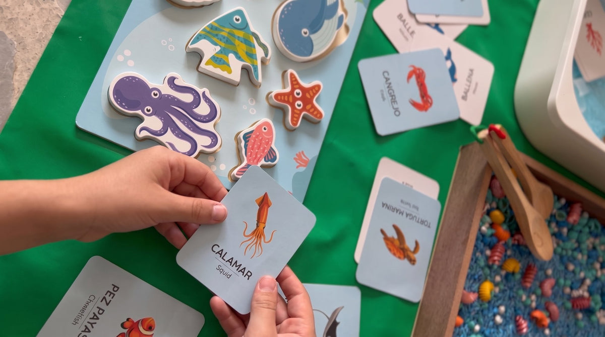 Manos sosteniendo una flash card del calamar en un encuentro