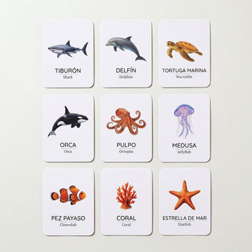 Animales del océano