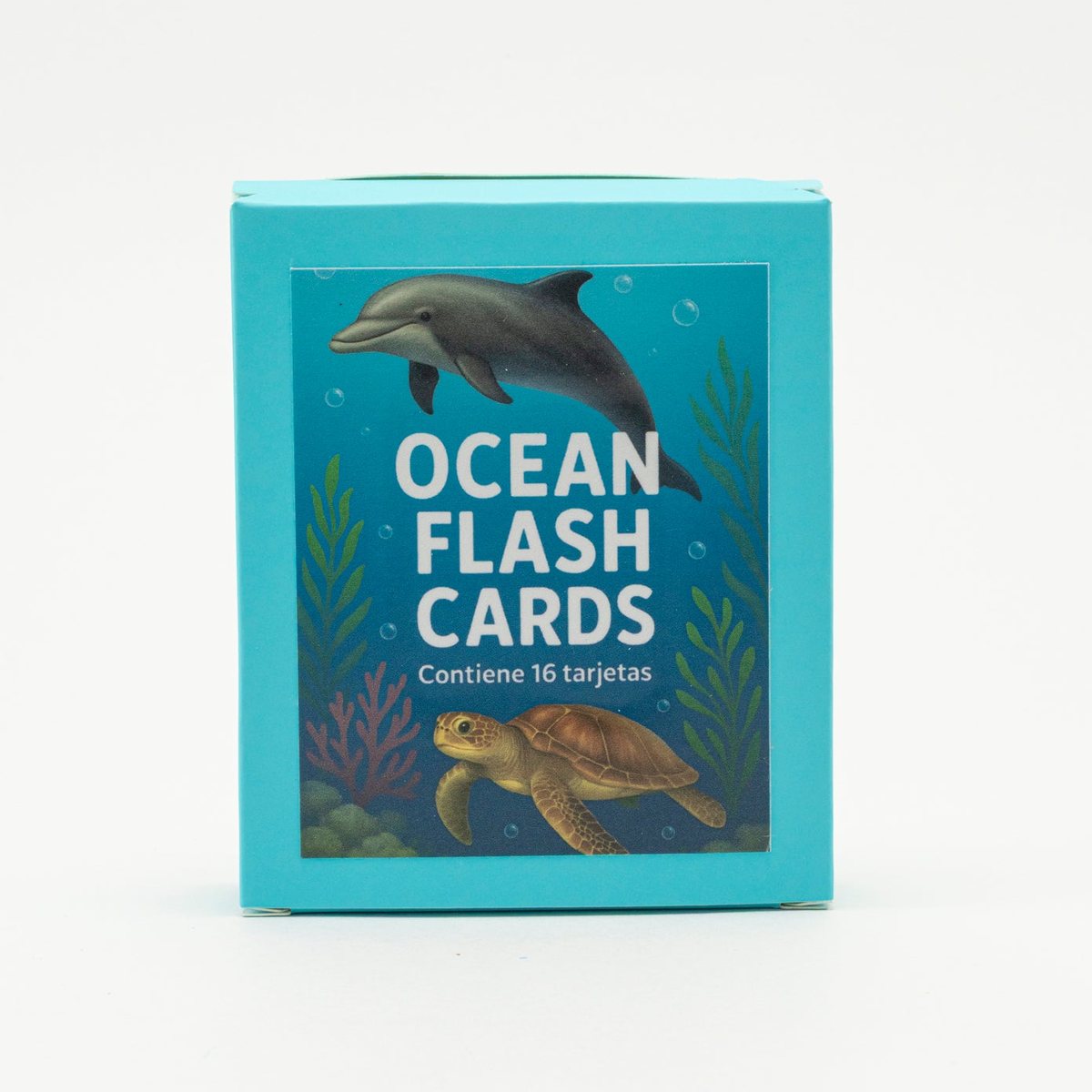 Ocean flash cards realistas