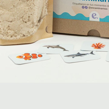 Mini tarjetas del mar