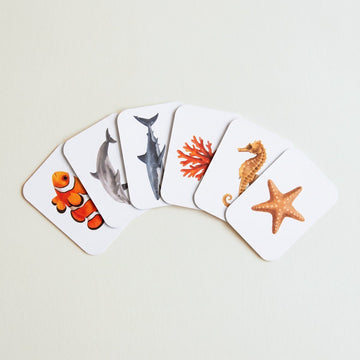 6 mini tarjetas del mar