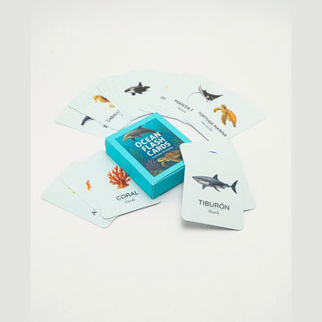 16 tarjetas con fotos realistas